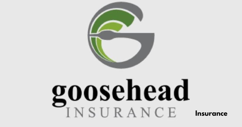 Goosehead Insurance