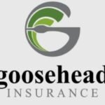 Goosehead Insurance