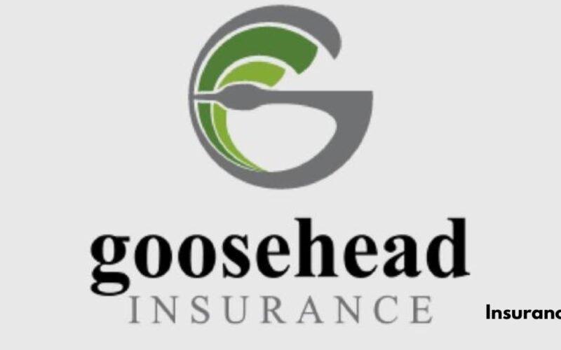 Goosehead Insurance Explained: 10 Insider Tips That Will Save You Big!